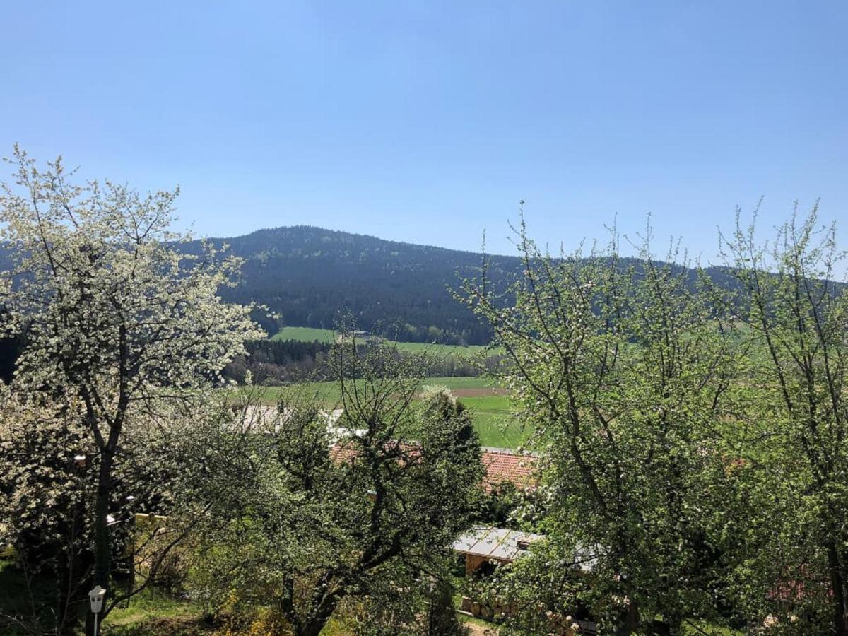 Hotel Steinbühler Hof Kötzting Exterior foto